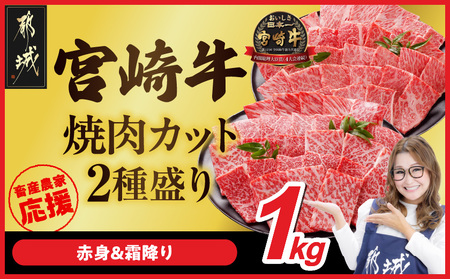 畜産農家応援! 宮崎牛焼肉2種セット500g×2パック_AC-N204_(都城市) 宮崎牛 肩ロース又はロース ウデ モモ 焼肉 500g ギャル曽根さんおすすめの牛肉返礼品