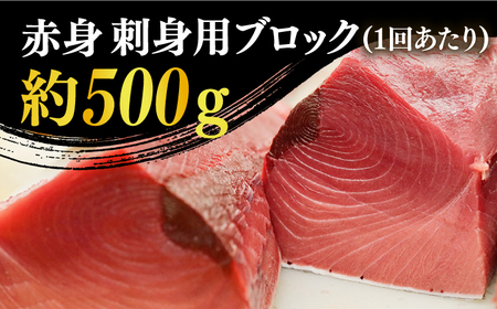 【全3回定期便】【ながさき水産業大賞受賞！！】五島列島産 養殖 生本かみまぐろ 赤身 ブロック 500g【カミティバリュー】[RBP061]