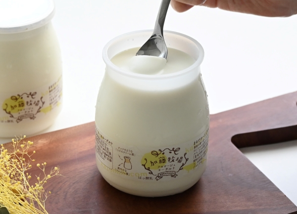 【C055】【霧島連山の麓・加藤牧場直送】ジャージーミルクの濃厚ヨーグルトと手作りミルクジャム_イメージ2