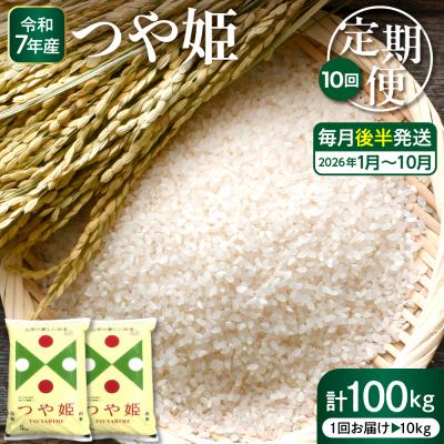 ふるさと納税 東根市 【2026年1月スタート】特別栽培米つや姫10kg×10回(毎月後半発送)定期便 hi053-035