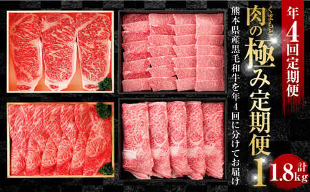 【年4回定期便】くまもと肉の極み定期便① 黒毛和牛 和牛 定期便 熊本県産 肉 お肉 牛肉 牛 国産