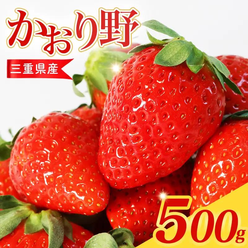 【2027年2月中旬から順次発送】 苺 かおり野 500g 250g×2パック 苺