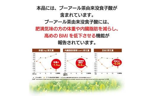 【定期便2か月】国産プーアール茶　SARYU-SOSO（5g×30ティーバッグ）×2回　＜機能性表示食品＞