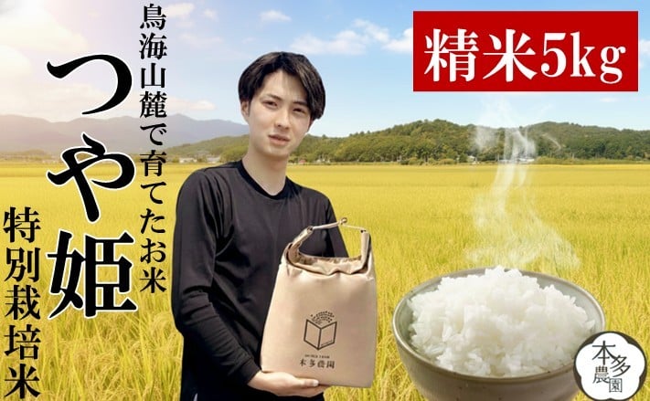 
            特別栽培米 つや姫 5kg 令和7年産 選べる配送月 （ 10月 11月 12月 1月 2月 3月 ） 米 白米 精米 ご飯 ごはん おにぎり こめ 山形産 庄内  おすすめ 農家直送 本多農園 山形 酒田 SB0712
          