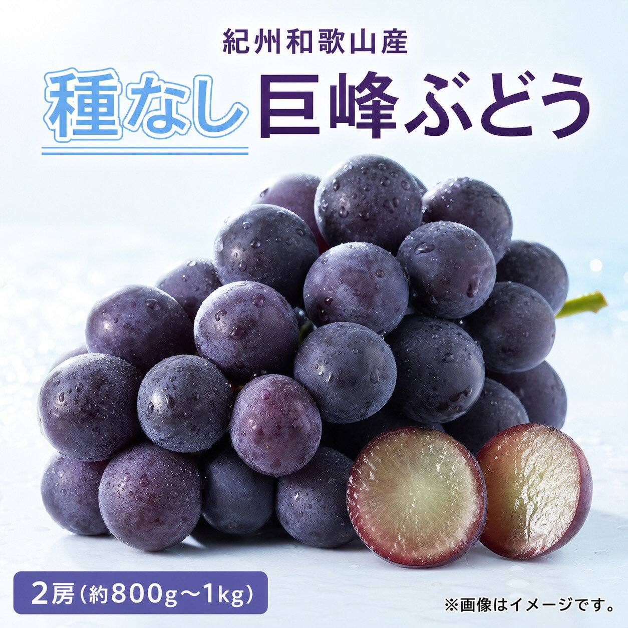 【ふるさと納税】 紀州和歌山産の種なし巨峰ぶどう2房（約800g〜1kg）※2027年8月上旬頃〜2027年9月上旬頃に順次発送予定 / ぶどう ブドウ 葡萄 種無し フルーツ 果物 くだもの