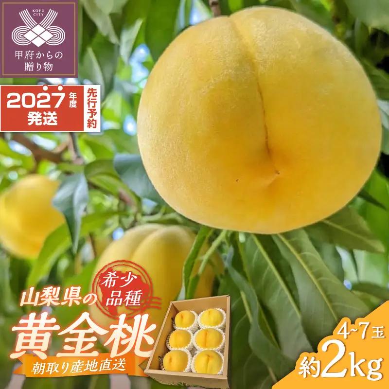 〈2027年度配送分〉甲府市産 黄金桃 約2kg（4～7玉） 桃 フルーツ