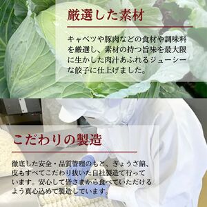 餃子 越後まるきよ餃子 6袋 セット ぎょうざ ギョウザ ごはんのお供