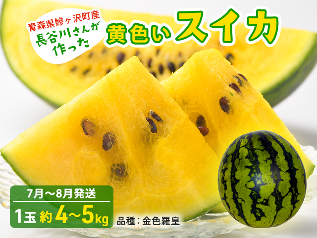 【先行予約2025年産】長谷川さんが作った黄色いスイカ 1玉 約4～5kg（品種：金色羅皇）7月～8月発送 青森県鰺ヶ沢町産