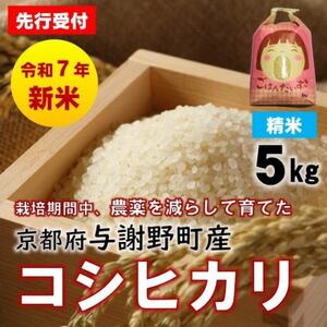 先行受付　R7年産新米　京都丹後産コシヒカリ　精米5kg　栽培期間中、農薬を減らして育てたお米【1658828】