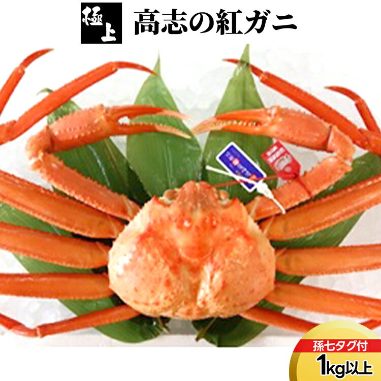 【ふるさと納税】【極上】高志の紅ガニ1kg以上（孫七タグ付）　ずわい蟹 ずわいガニ ズワイガニ 紅ズワイガニ ※2026年9月～発送