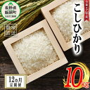 【ふるさと納税】 米 こしひかり 10kg × 12回 【 12か月 定期便 】( 令和5年産 ) 沖縄県への配送不可 米澤商店 長野県 飯綱町 【 コシヒカリ 白米 精米 お米 信州 】発送時期：2023年11月上旬～ [お届け12回 (***)]