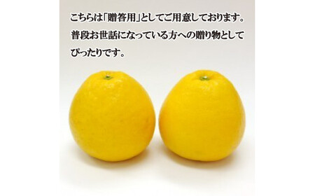 先行予約 贈答用 河内晩柑 3kg 7000円 お試し用 みかん かわちばんかん 愛南ゴールド あいなん ゴールド 夏 文旦 グレープフルーツ 和製 少量 お試し 産地直送 お中元 ギフト プレゼント