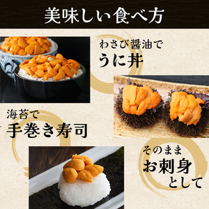 北海道 礼文島産 冷凍 生うに食べ比べ(エゾバフンウニ・キタムラサキウニ 80g×各1個) ＆ 蒸しあわび 50g［野崎水産］【 うに ウニ 雲丹 生うに あわび アワビ 鮑 蒸しあわび 海鮮 食べ比