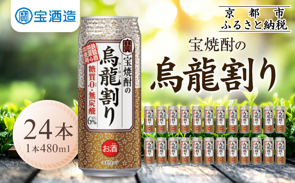 【宝酒造】宝焼酎の烏龍割り（480ml×24本）［タカラ 京都 お酒 チューハイ 缶チューハイ 酎ハイ サワー お茶 ウーロン 人気 おすすめ 定番 おいしい ギフト プレゼント 贈答 ご自宅用 お取り寄せ］ 261009_B-BL41