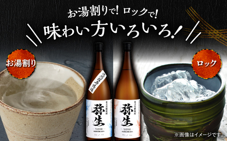 産地別黒糖焼酎 選べる 弥生飲み比べ セット 1800ml 2本入り（ 弥生波照間無濾過 25度 ＆ 弥生多良間島 25度 ） A185-034-02 黒糖焼酎 焼酎 酒 お酒 アルコール 黒糖 本格