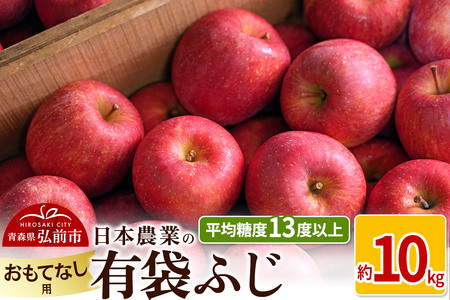 りんご 【先行受付】平均糖度13度以上！ 有袋ふじ 約10kg おもてなし用 CA貯蔵 クール便
