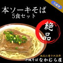 【ふるさと納税】本ソーキそば(太麺・5食セット)沖縄そば【配送不可地域：離島】【1471011】