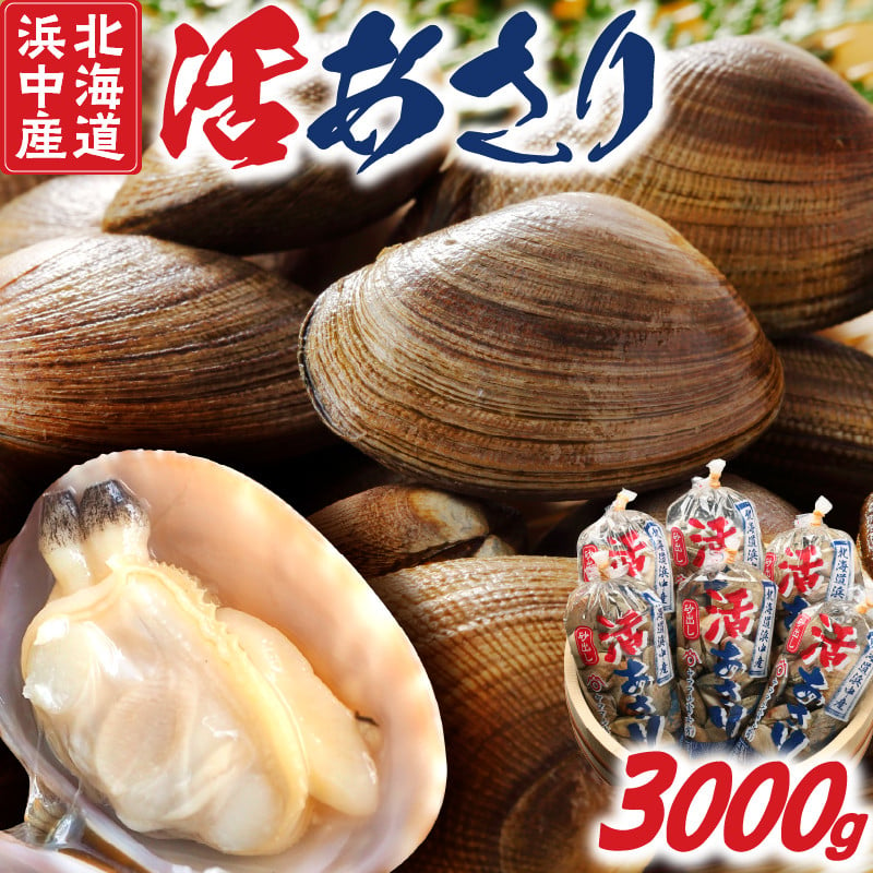 4月～6月発送分《先行予約・期間限定》浜中町産活あさり(500g×6袋セット)_230205-02