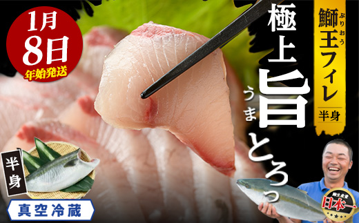 【期間限定特別寄附額】＼年始発送 先行予約／＜数量限定＞【2027年1月8日発送】『旅サラダ』で紹介ぶりの王様「 鰤王 」 フィレ 半身 (約1.2～1.5kg・フィレ1枚) 産地直送 新鮮 旨味が抜群の 長島町 特産品 ブランド ぶり 鰤 ブリ 切り身 真空 冷蔵 刺身 ぶりしゃぶ しゃぶしゃぶ 魚 魚介 人気 ランキング 年末年始発送 【JFA】_jfa-1630-08