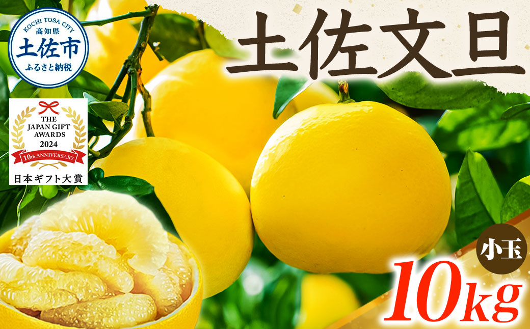 【日本ギフト大賞2024受賞】【先行予約】文旦 小玉 10kg（L～M）2026年1月下旬より順次発送 土佐文旦 みかん 柑橘 ぶんたん ブンタン 果物 フルーツ お取り寄せ おいしい 家庭用 贈答用 土佐市 高知 ふるさと納税 春 旬 返礼品 高知県 高知 18000円