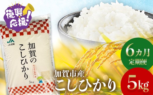 
                  【定期便】【６カ月連続お届け】 令和7年産 こしひかり 5kg 生活応援米 精米 銘柄米 お米 米 ギフト 贈り物 グルメ 食品 復興応援米 F6P-3220
                