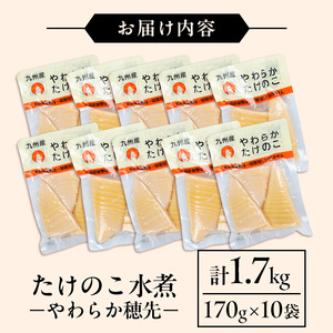 i1056 国産たけのこ水煮 穂先のみ (計1.7kg・170g×10P) 小分け 国産 九州産 たけのこ 筍 タケノコ  水煮 常温保存 常温 料理 煮物 炊き込みご飯 おでん 料理 お手軽 【旬彩