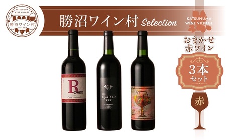 ワイン村 おまかせワイン（赤）3本セット（KWV）D4-620 【ワイン 勝沼ワイン村 赤ワイン 甲州市 山梨県 】