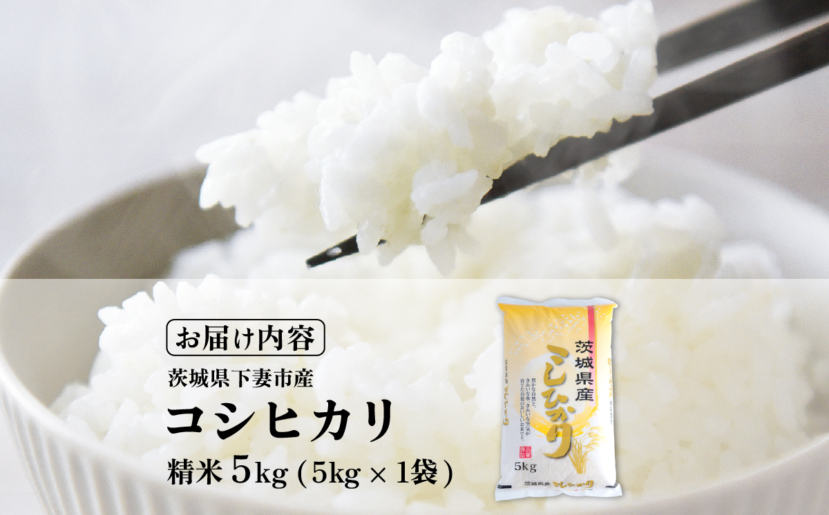 【最短7日発送】精米 コシヒカリ 5kg 茨城県下妻市産 【 お米 米 白米 ご飯 こめ コシヒカリ 令和7年産 茨城県産 】 精米コシヒカリ5kg | 9,000円
