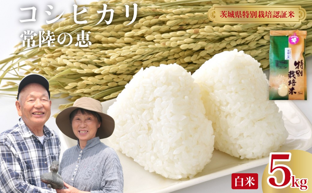 
                  米 新米 こしひかり 白米 5kg R8年産 特別栽培認証米 常陸の恵  | 米 お米 特別栽培認証米 コシヒカリ GAP認証 森 ミネラル 水 山田川 安全 安心 美味しい 米 人気 自然栽培 つやつや もっちり 茨城県 常陸太田市 
                