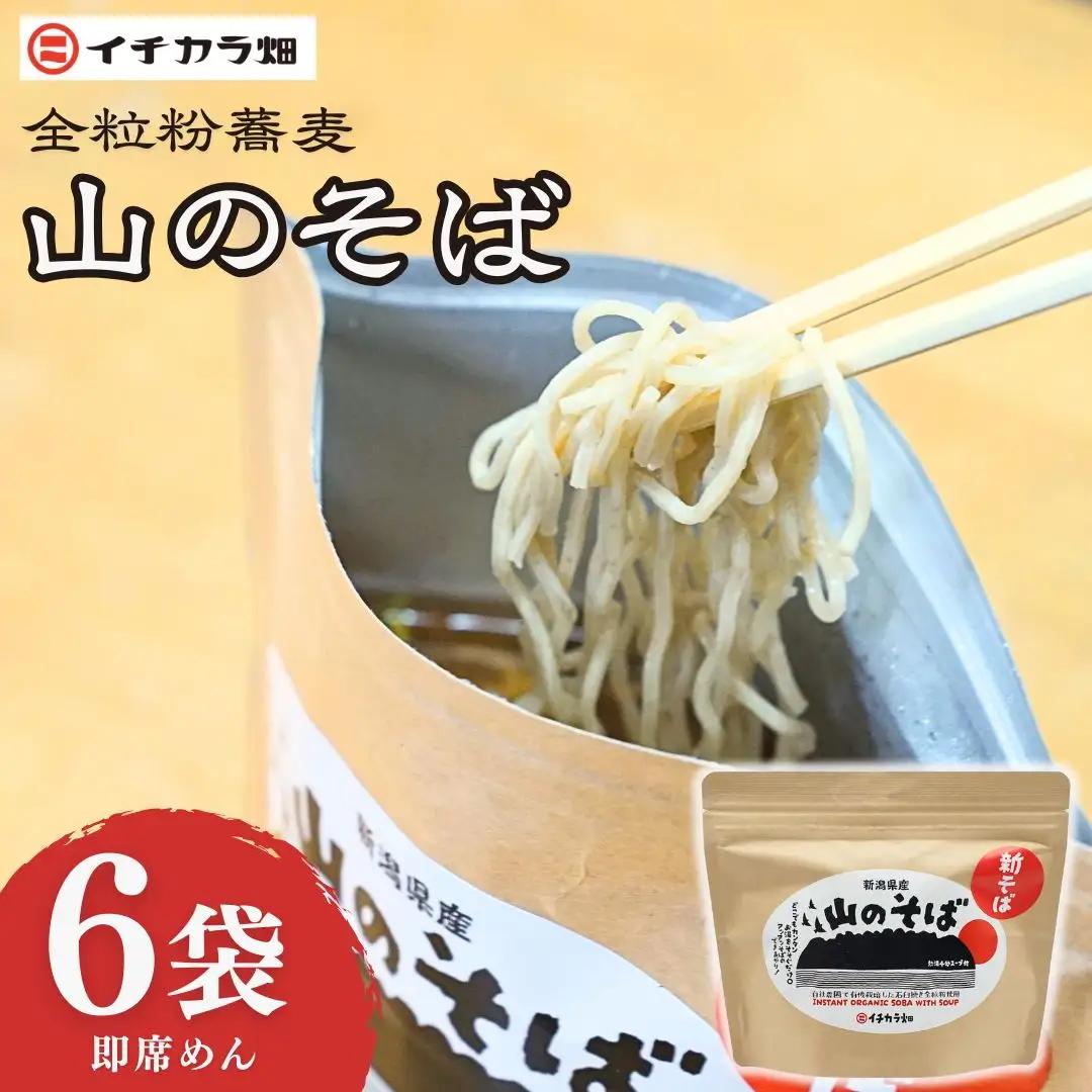 山のそば 6袋 イチカラ畑 |インスタント そば