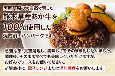 あか牛ハンバーグ4個入り 150g×4個 《60日以内に出荷予定(土日祝除く)》あか牛の館 熊本県南阿蘇村 ハンバーグ あか牛 熊本県産 600g 牛肉