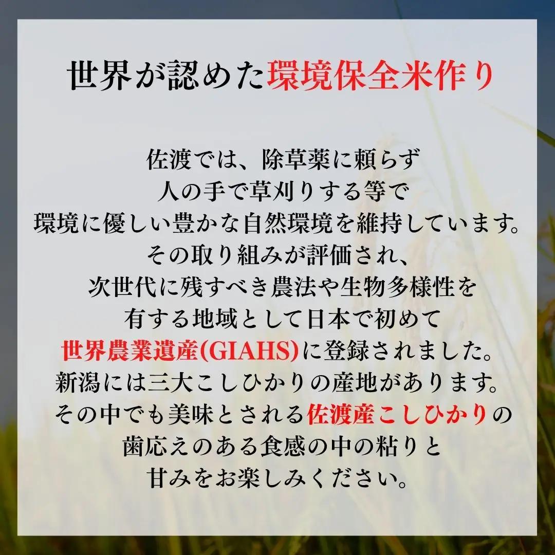 コシヒカリ 真空パック 900g×12袋セット 佐渡産 令和7年 | 新潟県 佐渡市 コシヒカリ