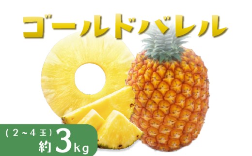 パイナップル ゴールドバレル 約3kg 2～4玉 パイン 果物 フルーツ 沖縄 西表島【TOK:iふぁーむ】配送不可：離島028-a002_2026