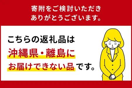 【令和7年産米】那須塩原市産コシヒカリ　10キロ 【ns130-001】