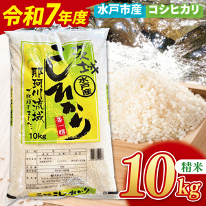 【10月中旬より順次発送】【数量限定】【令和7年産新米】水戸産コシヒカリ10kg 精米【お米 ごはん コシヒカリ おにぎり ごはん 茨城県 水戸市】(NP-2)