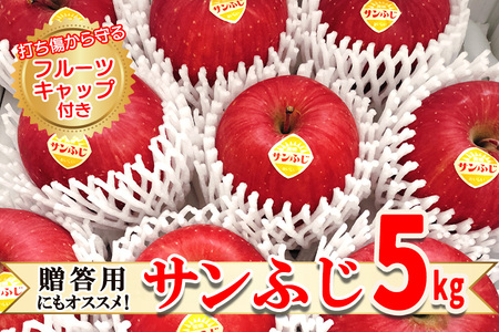 高橋りんご園　『サンふじ』5kg(12～14玉)　フルーツキャップ付き　贈答用にもオススメ！