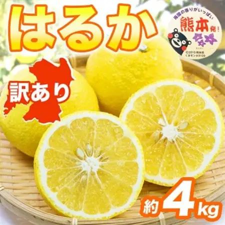 【先行予約】 熊本県産 やさしい甘さと爽やかな味わいのみかん! 訳あり はるか 約4kg(益城町)【1723661】