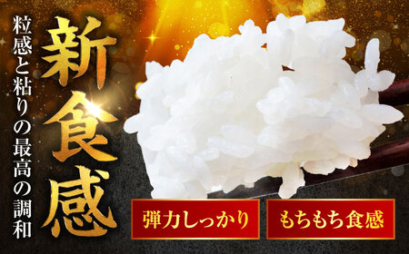 【新米】 福井県産 いちほまれ 精米 (白米) 10kg 福井自慢のブランド米 一等級　福井県米 / コシヒカリ発祥 ブランド 特A常連 小浜市 / 若狭ふれあい市場[BFEL035]