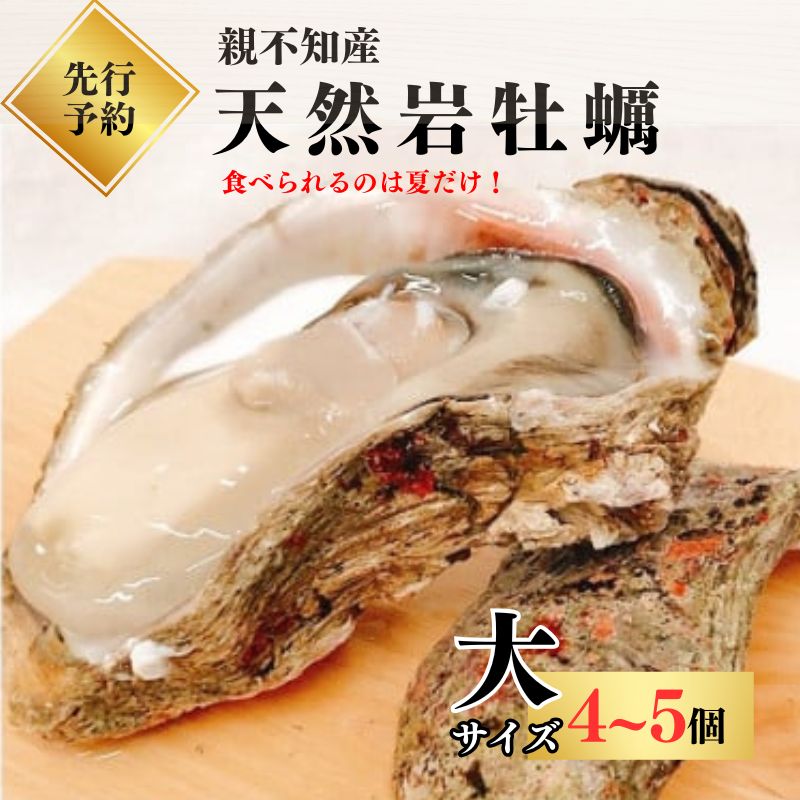 【ふるさと納税】【先行予約】親不知産 天然岩牡蠣(生食用) 大サイズ4～5個 2025年7月20日以降順次発送 鮮度抜群！ 水揚げ直後に発送 日本海 かき カキ 岩ガキ 水揚げ直後に発送 親不知産 糸魚川 親不知おさかなセンター 牡蠣 新潟県 期間限定 産地直送 生牡蠣 国産