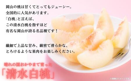 【2025年先行予約】［拝郷果樹園］岡山県産 清水白桃 約2kg（6玉〜9玉）
