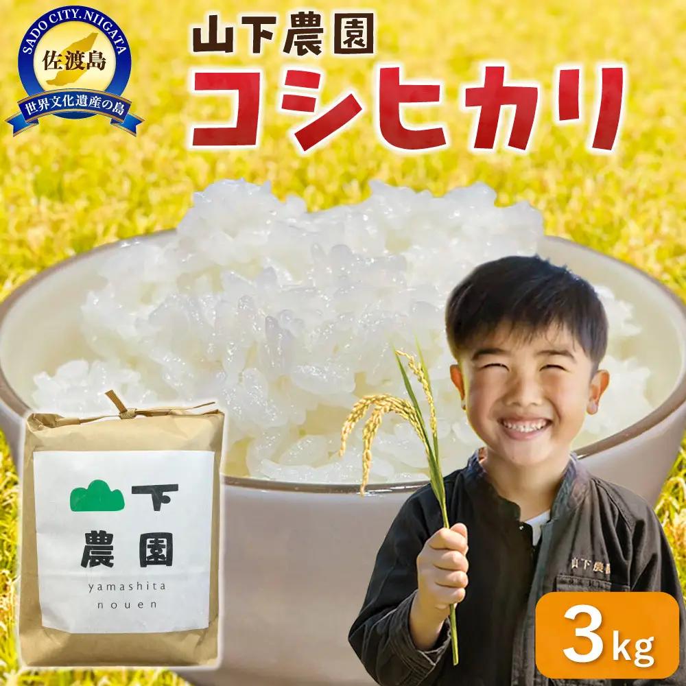 山下農園 令和7年産 佐渡産コシヒカリ3kg