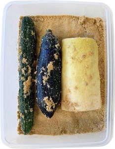 漬物 糠床 どぼ漬 手作りセット 京つけものもり 京漬物 ぬか床 京漬物 野菜漬物 お漬物 ※5月より順次発送