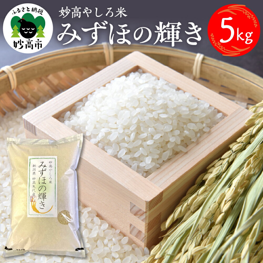 【ふるさと納税】令和7年産 新潟県 妙高やしろ米 みずほの輝き 5kg お米 米 コメ 精米 新潟 妙高市 米どころ こめ ご飯 ごはん ライス 弁当