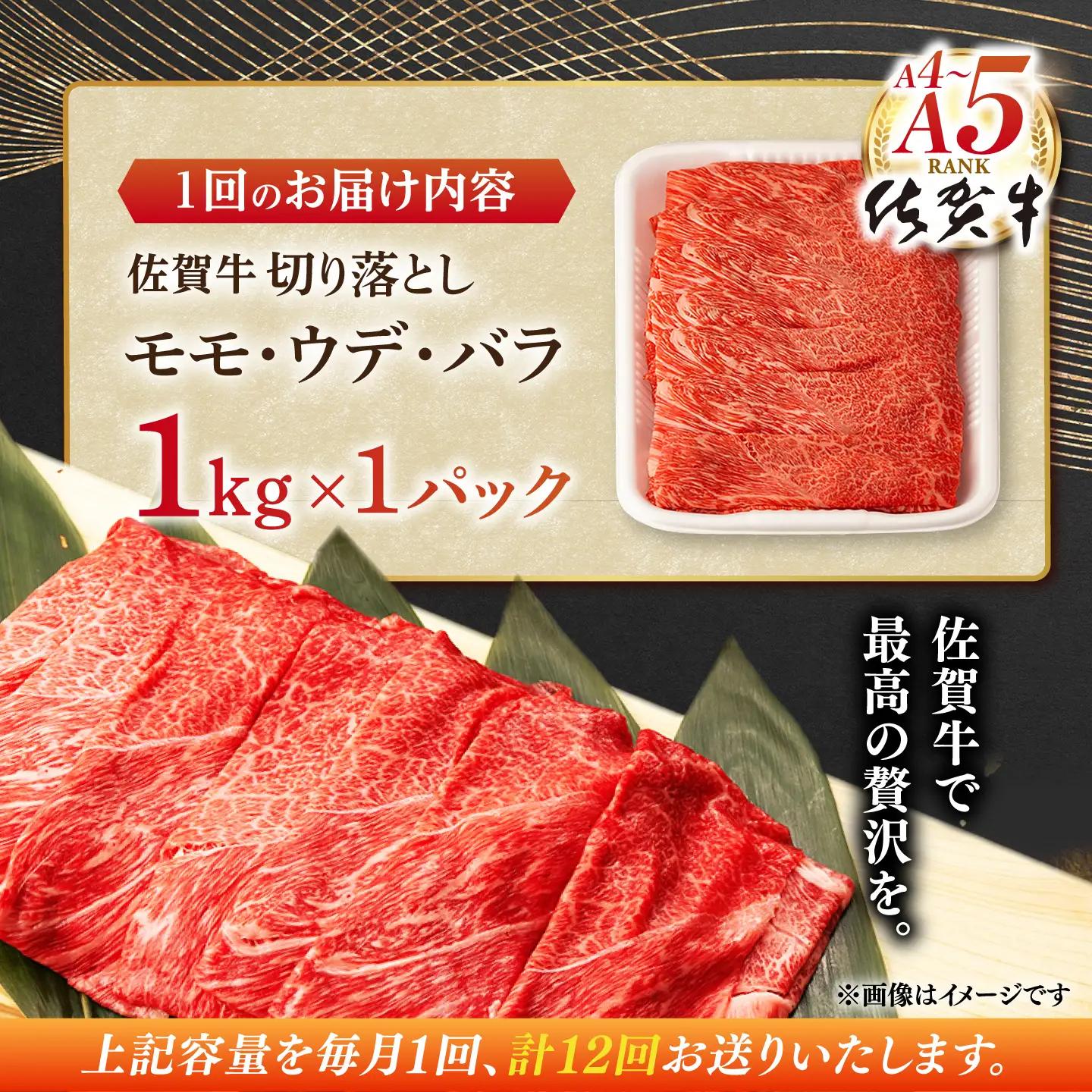 【定期便】 牛肉切り落とし 佐賀牛 総計12.0kg NAB058 牛肉切り落とし 全12回