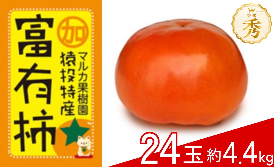 
                  ＜先行受付＞富有柿 約4.4kg(24玉)ご自宅用にもおすすめ【2026年11月上旬以降順次発送】| 柿 先行予約 先行受付 かき ふゆかき 家庭用 贈答用 秀 ギフト 果物 フルーツ 先行予約 富有柿 マルカ果樹園 愛知県 豊田市
                
