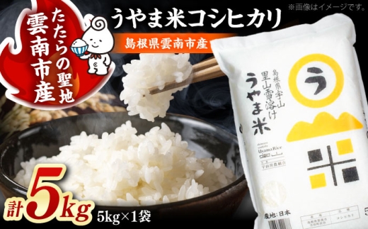 【令和8年産 新米 先行予約】コシヒカリ 5kg （5kg×1袋）うやま米 島根県雲南市産 米 お米 白米 精米 新米コシヒカリ こしひかり コシヒカリ5kg 米5kg お米5kg 5キロ 国産米 島根県産米 【2026年9月下旬以降順次発送】 [AIDB076-r8]