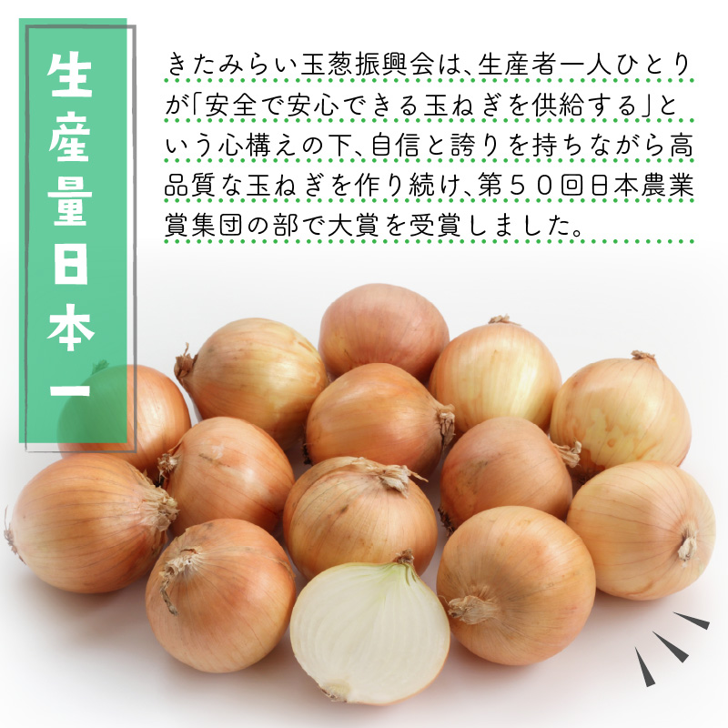 ☆L玉隔月定期便(11月・1月)☆JAきたみらいから直送する新鮮玉ねぎ 10kg(L)×2回 ( 野菜 定期便 玉葱 たまねぎ 期間限定 )【999-0118-2024】