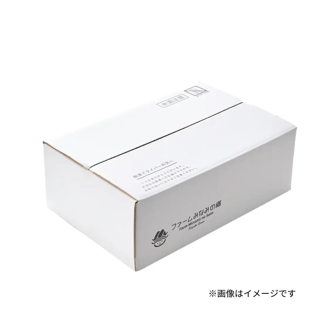 【定期便12回】令和8年産 新米 新之助 4kg(2kg×2袋)×12回 計48kg 先行予約 | 新潟県産 白米 米 五泉市