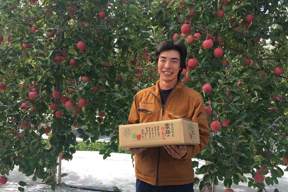 【26年10月発送】りんご 葉とらずサンつがる【おもてなし用】約10kg 平均糖度12度以上 青森県産 果物 フルーツ 林檎 リンゴ くだもの [産地直送 アップル 青森県 弘前市]