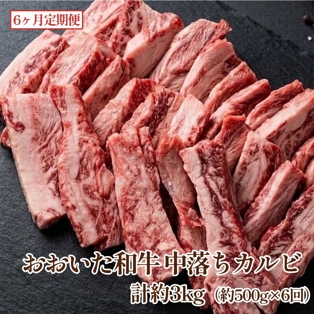 【ふるさと納税】【6カ月定期便】 おおいた和牛 中落ちカルビ 約500g 計約3kg